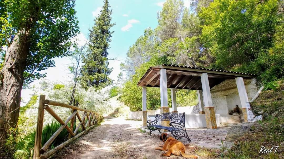 Rural El Penon De Holiday home *