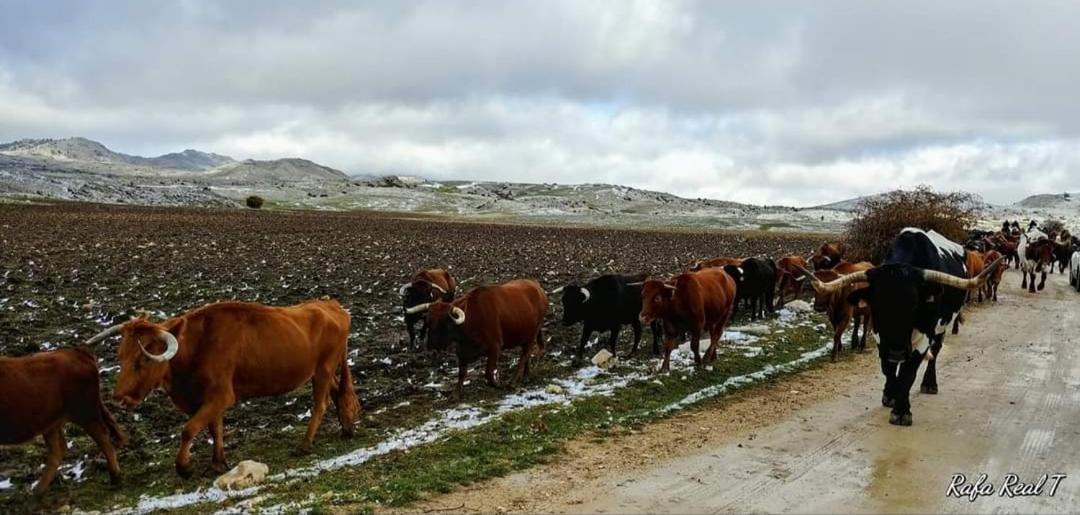 Rural El Penon De Holiday home Hornos